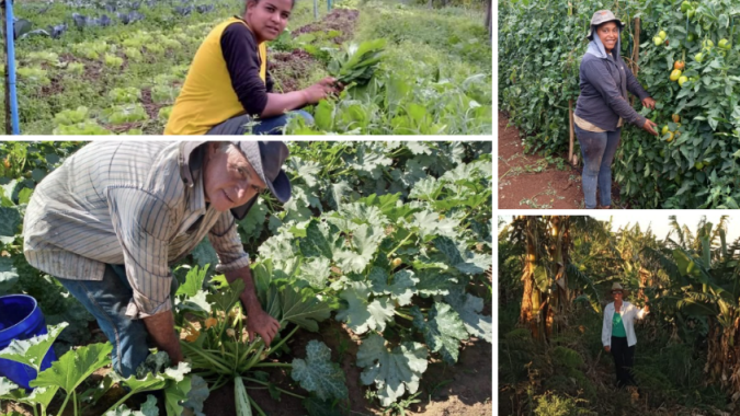 Dia do Agricultor: SP Produz destaca a força da agricultura familiar paulista