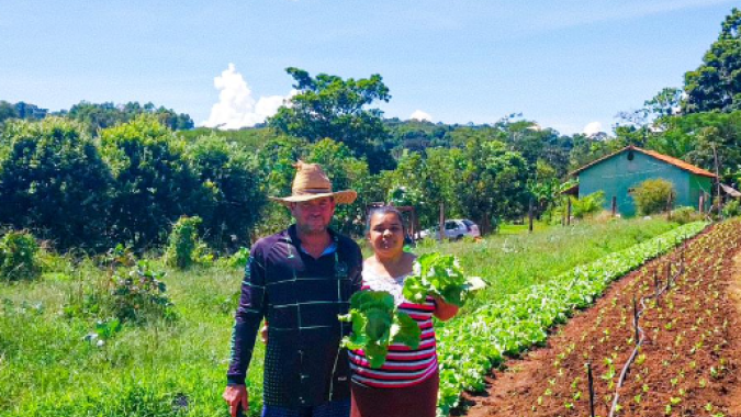 Retrospectiva 2024: Emater impulsiona negócios de 844 famílias com o Fomento Rural em Goiás
