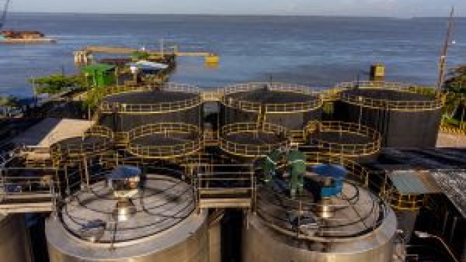 Agropalma anuncia retomada na produção de biodiesel no Pará