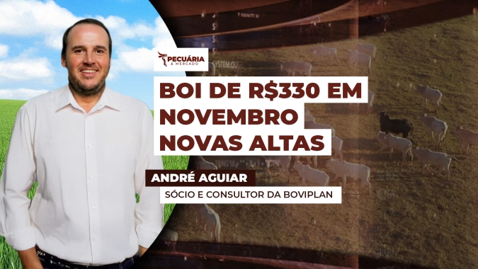 Valorização da arroba já começou e movimento de alta tende a ser mais rápido nos próximos 15 a 20 dias