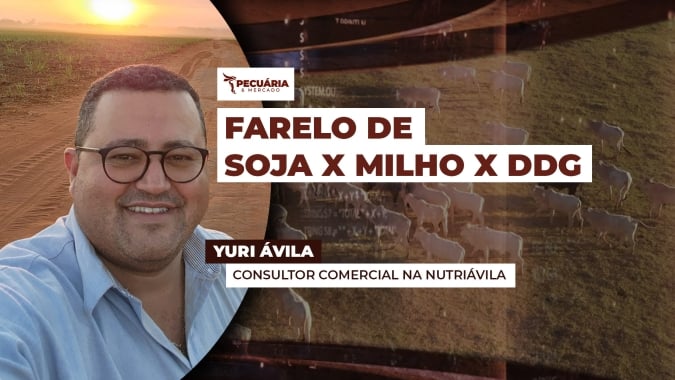 Como está o custo dos insumos e qual a melhor estratégia para garantir uma alimentação saudável e eficiente para o rebanho
