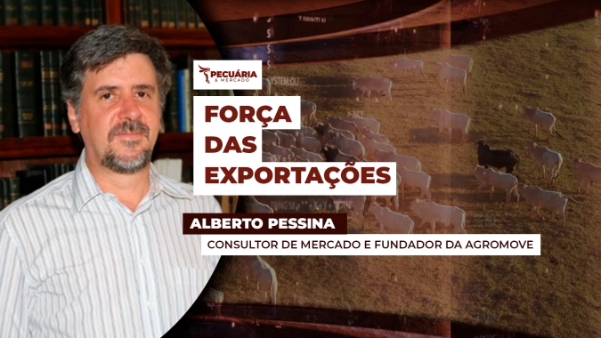 Mercado do boi encontra suporte na demanda de exportação, mas consumo interno requer atenção