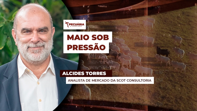 Boi: Consumo de início de mês e Dia das Mães ainda não emplacou e pressão sobre arroba continua