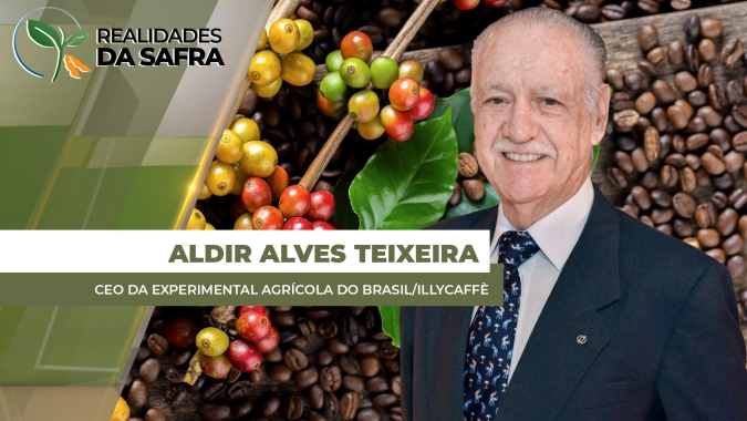 Colheita do café e aproxima e produtor precisa se atentar aos detalhes para realizar um bom manejo