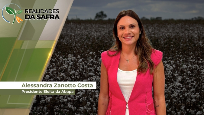 Expectativa para o plantio do algodão 2024/25 no Oeste da Bahia é de clima mais favorável do que a safra anterior