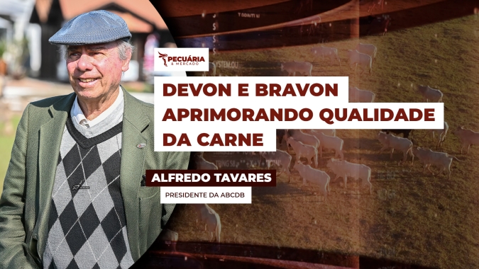 Devon e Bravon e a busca pelo aprimoramento da qualidade de carne no rebanho brasileiro