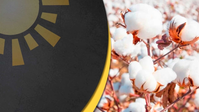 Entrevista com Isabela Aguiar - Eng. Agrônoma e Coordenadora de Acesso ao Mercado na Nitro