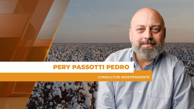 Algodão: Intempéries climáticas no Paquistão e disputas comerciais na Índia devem deixar mercado volátil e afetar preços no BR