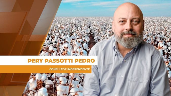 Apesar de queda considerável, algodão consegue manter cotações acima de 84 cents em NY