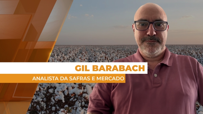 Novo recorde: Produção de algodão  brasileiro deve chegar a quase 4 milhões de toneladas na safra 24/25