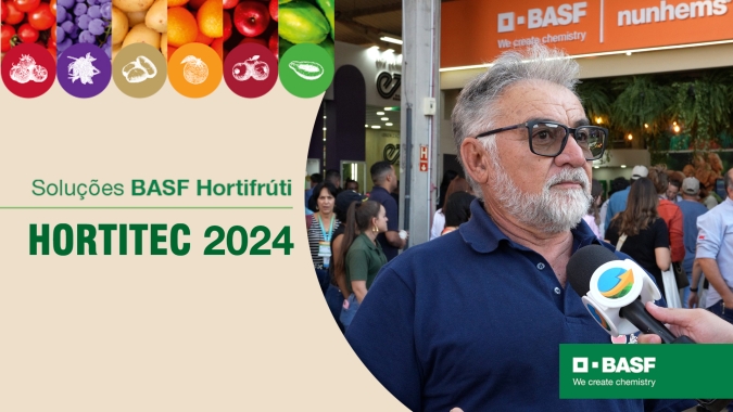 Produtores se preocupam com desafios de sanidade na cultura da HFs e segurança nos frutos