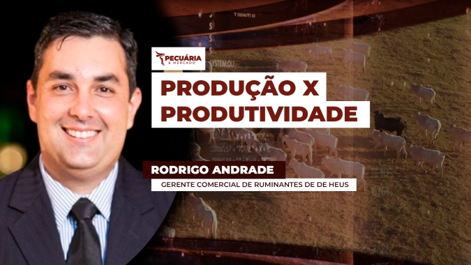 Dietas com novas formulações já substituem aditivos com antibióticos por óleos essenciais, atendendo às exigências internacionais