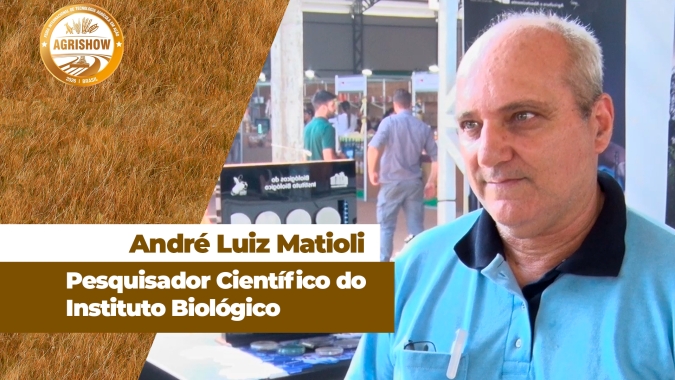 Nematóides para combater nematóides e ácaros para combater ácaros: o poder dos defensivos biológicos