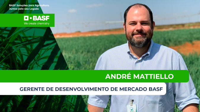 BASF amplia tecnologias para recuperar a produtividade da cana e fortalecer o controle de nematoides