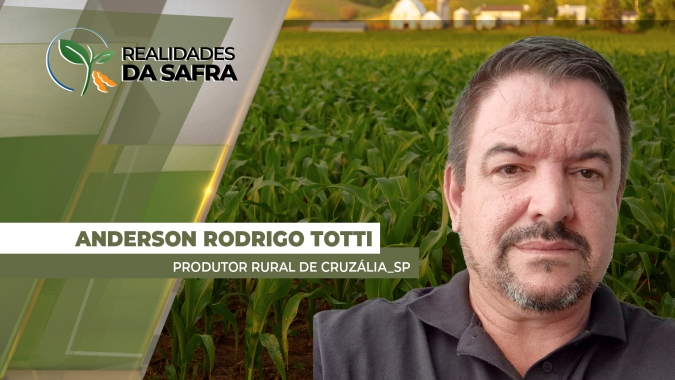 Após soja com perdas de 35%, Cruzália/SP espera queda de produtividade também no milho