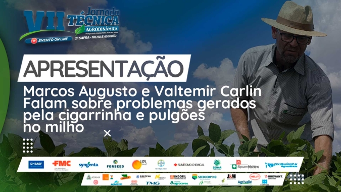 Apresentação de Marcos Augusto e Valtemir Carlin sobre a ocorrência do complexo de enfezamentos e viroses transmitidas pela cigarrinha e pulgões na cultura do milho