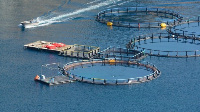 Acordo avança e reforça governança internacional da pesca em águas internacionais
