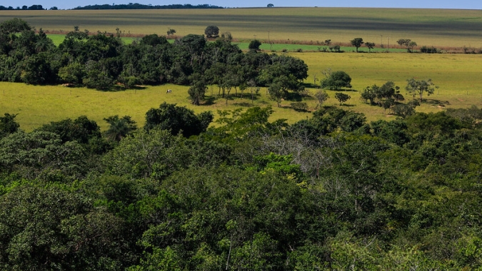 Pineda e Krahn promove encontro estratégico sobre regularização ambiental no agro