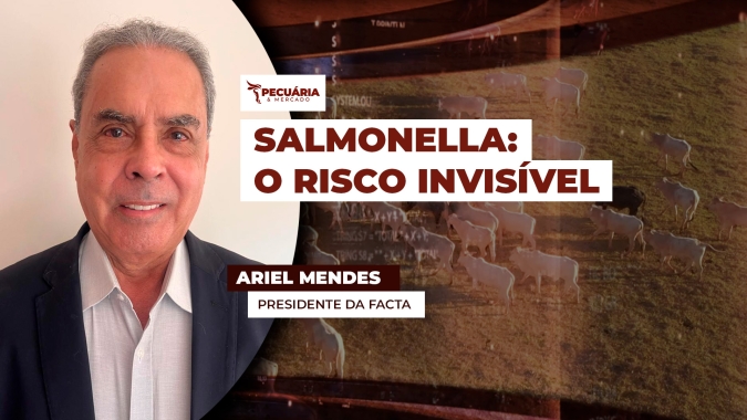 Gestão de riscos na suinocultura: por que o controle de Salmonella precisa ir além da conformidade?