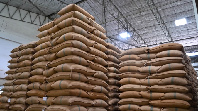 Capacidade de armazenagem cresce no Brasil, mas avanço segue abaixo do ritmo da produção de grãos
