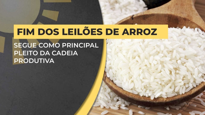 Federarroz: Fim dos leilões de arroz segue como principal pleito da cadeia produtiva