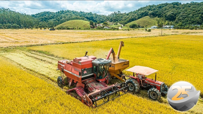 Rio Grande do Sul já colheu 25% do arroz e espera grandes perdas de produtividade