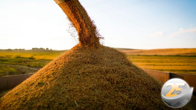 Colheita do arroz se encerrou no RS e IRGA consolida queda de 8,9% na produção