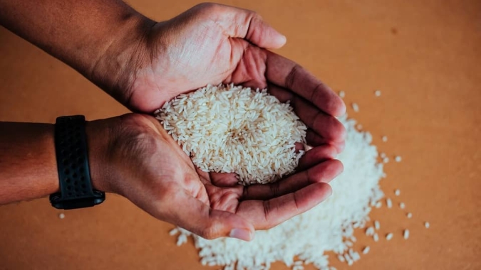 Preços do arroz recuam com o avanço da colheita no Brasil