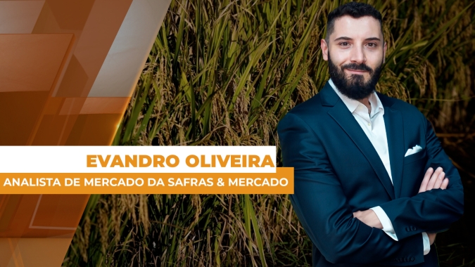 Exportação de arroz tem superávit de quase 15 mil toneladas, mas setor esperava melhor desempenho