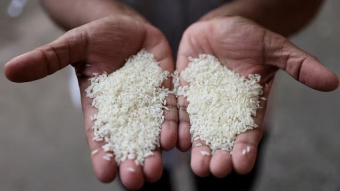 Arroz/Cepea: Diferença entre mínimo e máximo é de apenas 1% em outubro