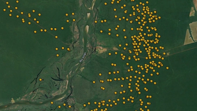 Focos de queimadas atingiram número recorde em áreas de matas em 2024