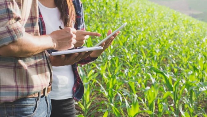 Bureau Veritas oferece 200 vagas de emprego para Projeto Harvest