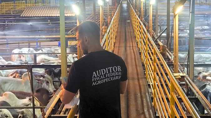Auditores Fiscais Federais Agropecuários reforçam o combate ao desvio de cetamina em todo o país