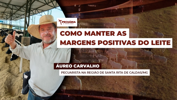 Produtor consegue manter margens positivas gerenciando custo, apesar das quedas recentes do leite