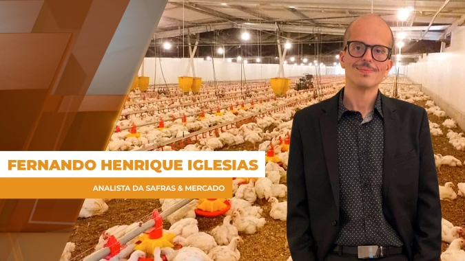 Frango recua em março com demanda fraca e tensão no cenário externo