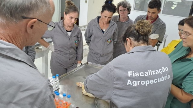Secretaria da Agricultura do RS contabiliza 2.295 ações de vigilância ativa para influenza aviária