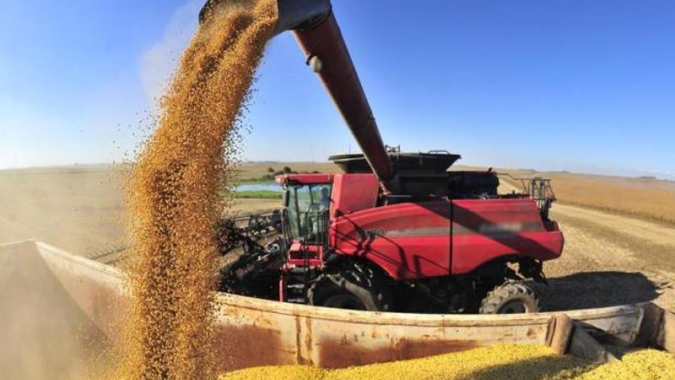 Conab: Produção de grãos atinge novo recorde com 350,2 milhões de toneladas colhidas na safra 2024/25