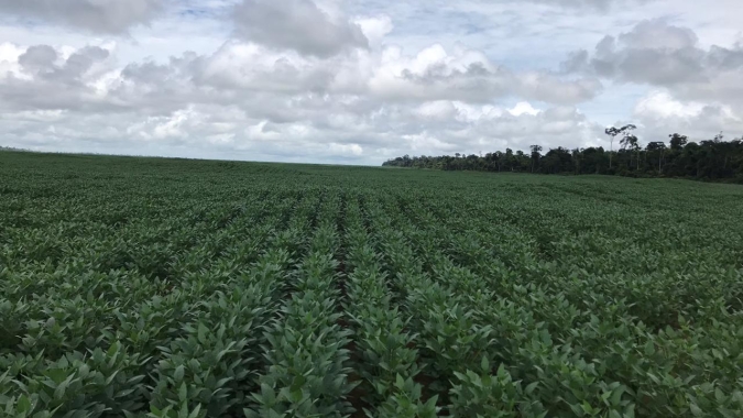 “ZARC de Produtividade” trará mais segurança ao produtor rural