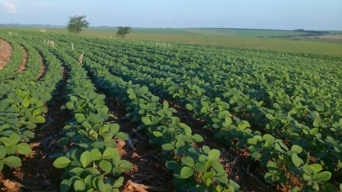 Faesc alerta Sindicatos Rurais a conferirem Valor da Terra Nua