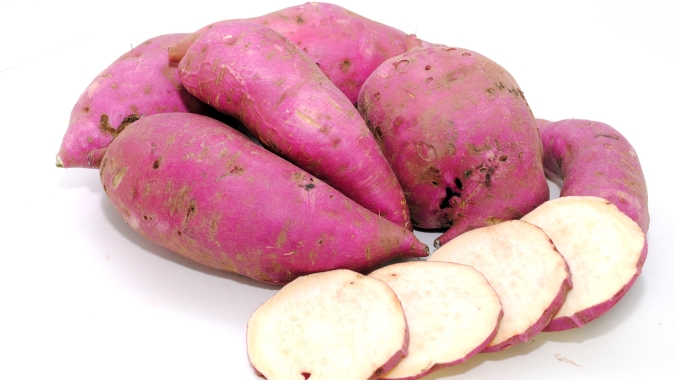 Irrigação possibilita o cultivo de batata doce e ajuda agricultor a diversificar seus negócios