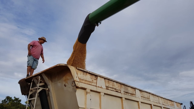 Produtores paranaenses já colheram metade da área de soja e milho