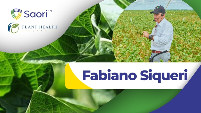 Sanidade da soja é destaque em 1º Fórum promovido pela PHC na próxima quarta-feira (21) e transmitido pelo site Notícias Agrícolas