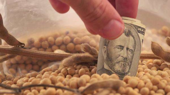 Em cenário de alta de juros, CRAs são alternativas para investidores institucionais e empresas que buscam recursos, aponta Virgo