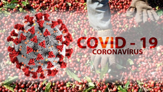 Com colheita se aproximando, coronavírus começa a preocupar o setor cafeeiro