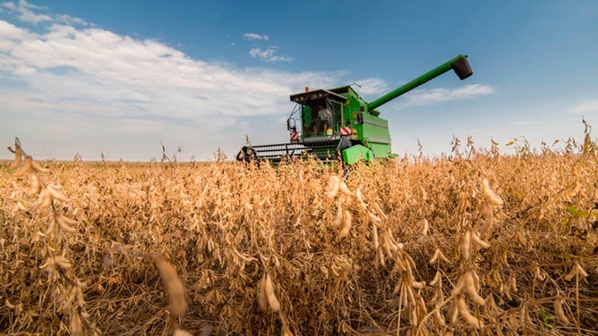 Colheita da soja já começou em Minas Gerais e expectativa é de 60 sacas por hectare de produtividade