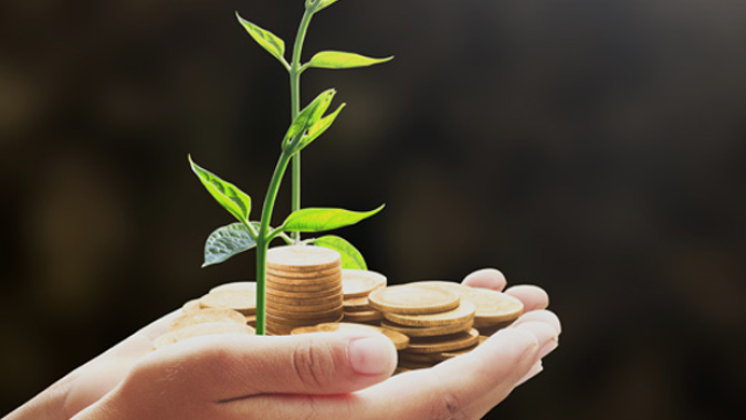 Programa do governo investirá mais de R$ 18 milhões para qualificação da produção de forragens no RS