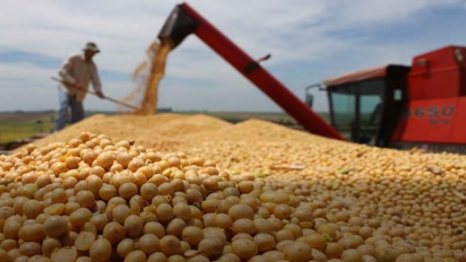 Nova estimativa amplia projeção de recorde na produção goiana de grãos