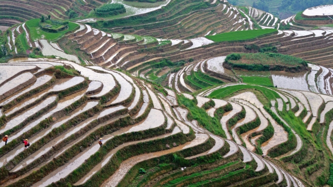 China aumenta proteção de agricultores com seguro para grãos básicos