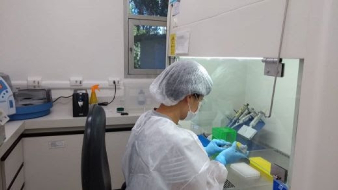 Abapa: Bahia cresce em 25,75% as análises de algodão para o mercado consumidor