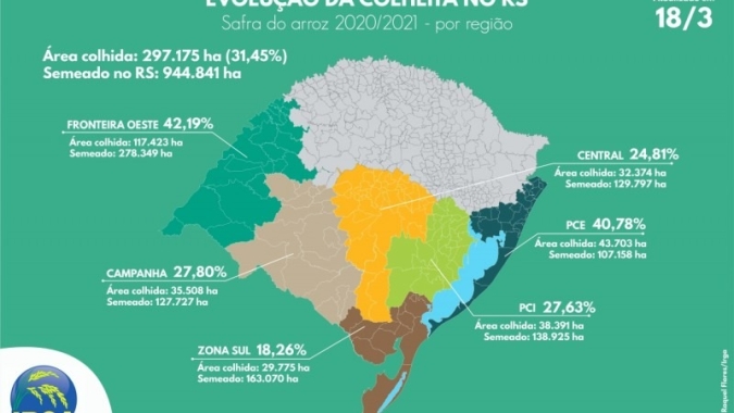 Área colhida de arroz no Rio Grande do Sul é de 31%